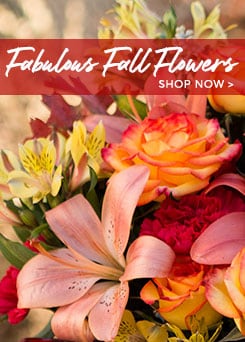 Fall Flowers Delivery